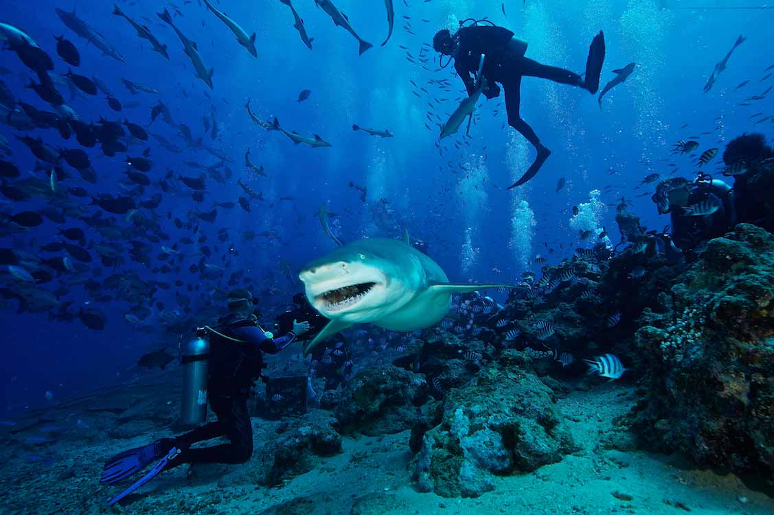Best places for scuba diving vacations